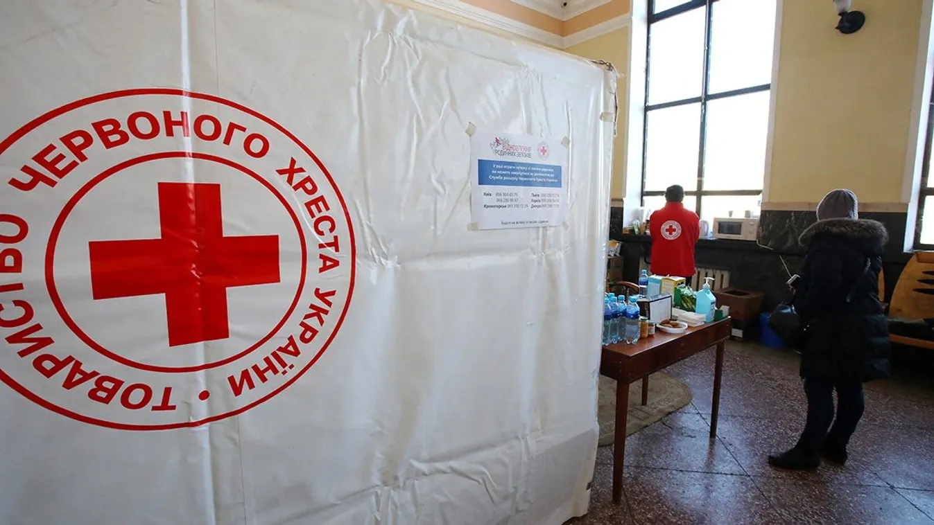 Ukrán katonai gyógyszerszállítmány lopásával vádolják a magyar Anna Sorokint
