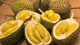 Immunerősítés egzotikus gyümölcsökkel - ezeket együk télen