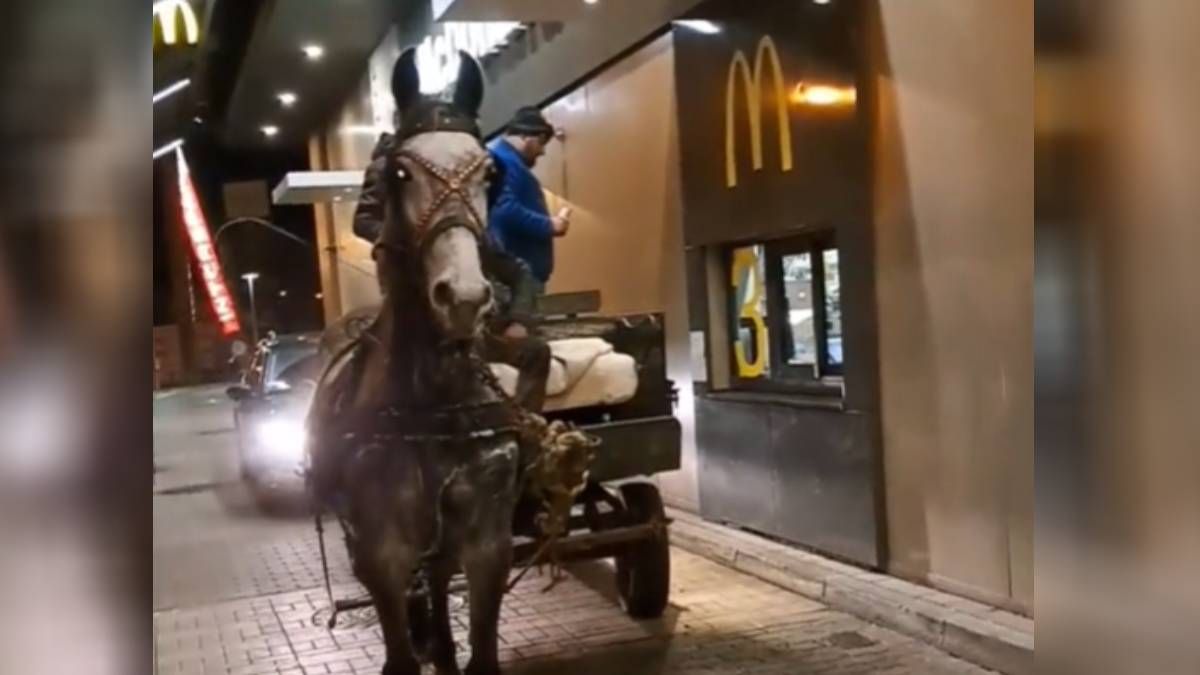 Bizarr videó, lovas kocsival hajtottak be a McDrive-ba Pápán