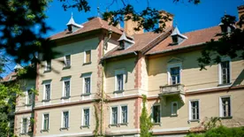 Hosszú elhagyatottság után 170 millió forintért lelt gazdára a parádfürdői kastély