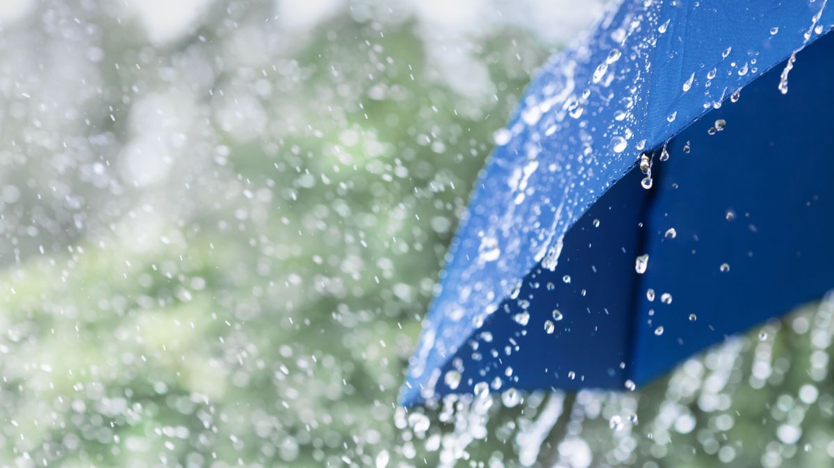 időjárás, időjárás-jelentés, eső, zivatar, vihar, esernyő, illusztráció, Shutterstock
