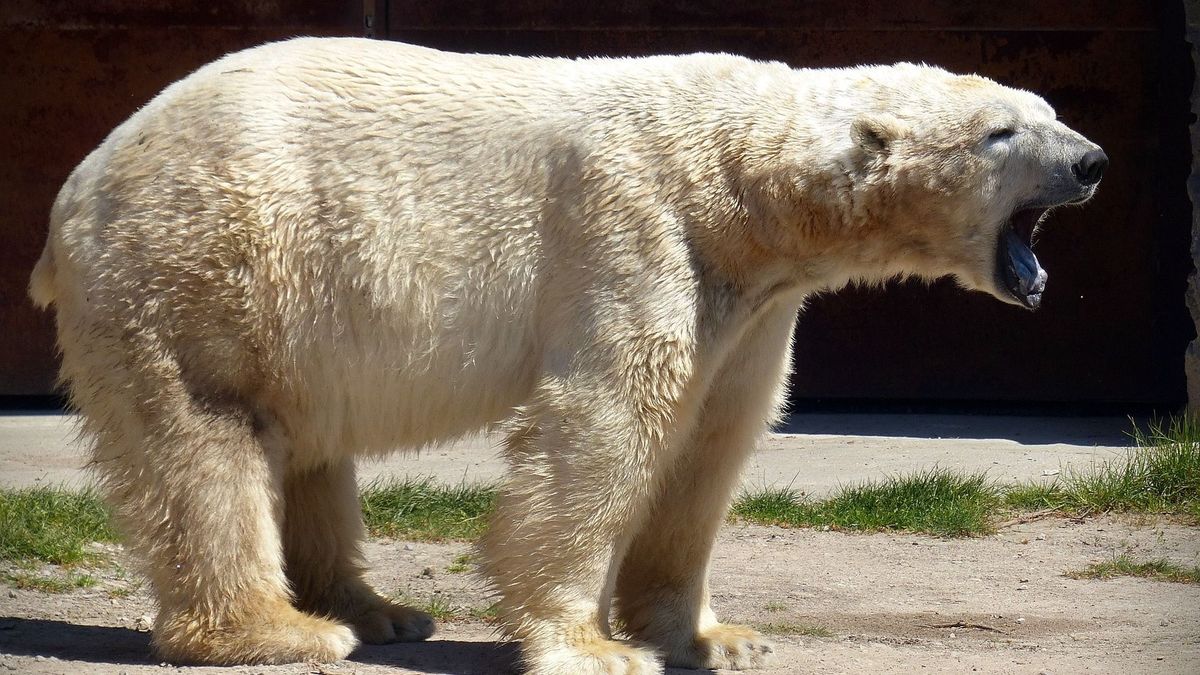 Egy iskola mellett érte a halál a fiatal anyát és kisbabáját