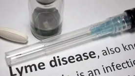 Miért a Lyme-kór az egyik legnehezebben diagnosztizálható betegség?