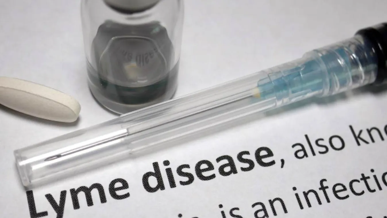 Miért a Lyme-kór az egyik legnehezebben diagnosztizálható betegség?