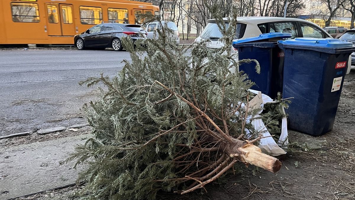 Hiába szállítják el, újabb kidobott karácsonyfák csúfítják Budapestet