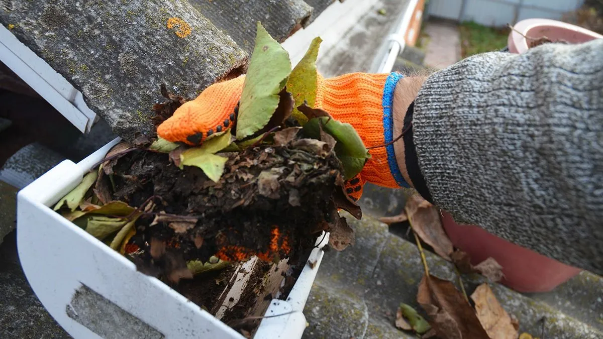 A,Man,Is,Cleaning,A,Clogged,Roof,Gutter,From,Dirt,