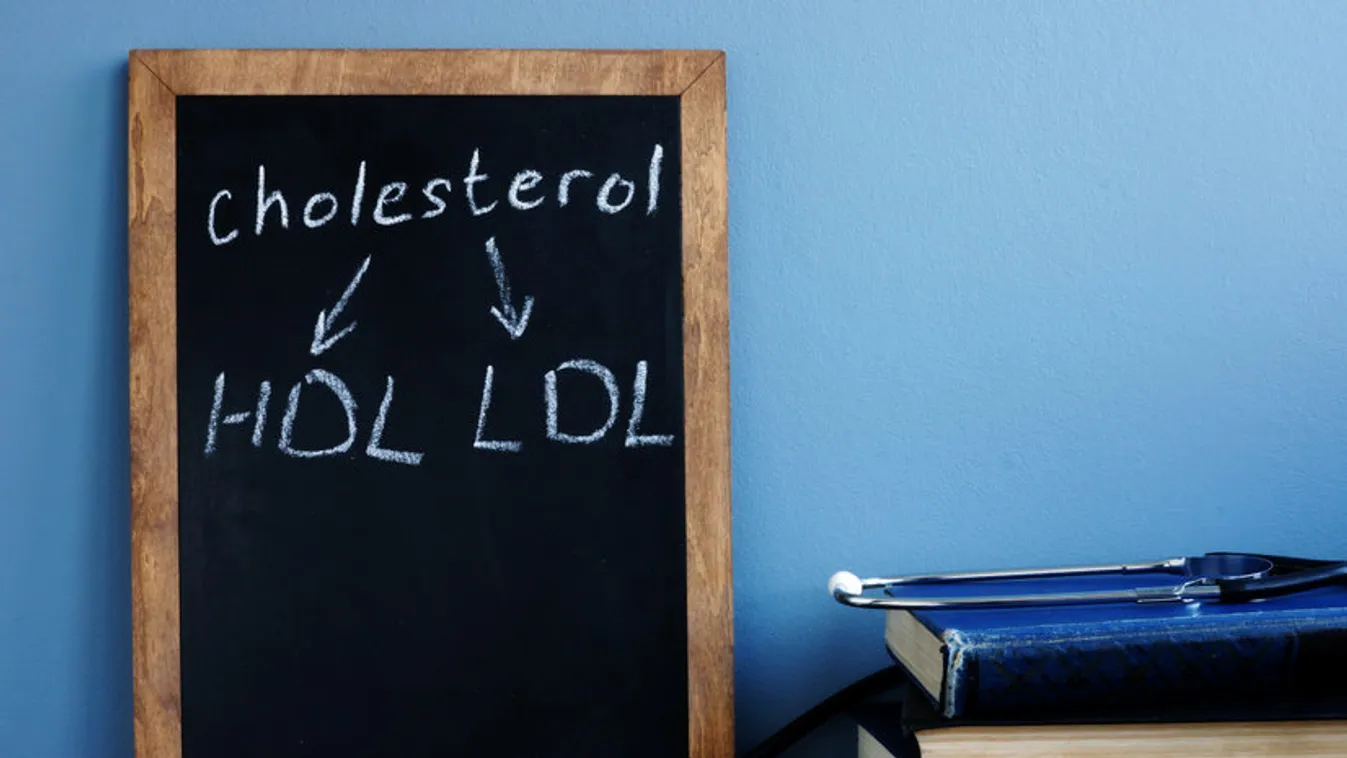 HDL, a jó koleszterin – Milyen koleszterinszint a megfelelő?