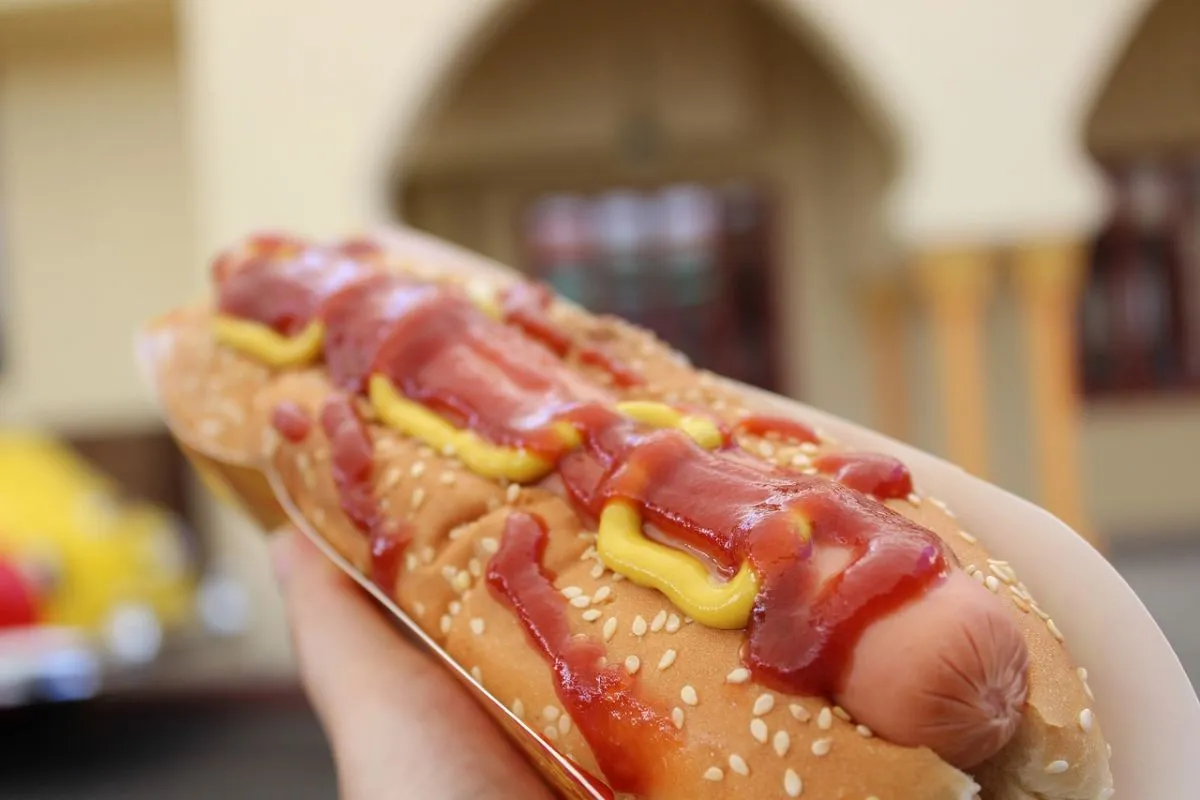 étel, étrend, táplálkozás, gyorskaja, hotdog, 