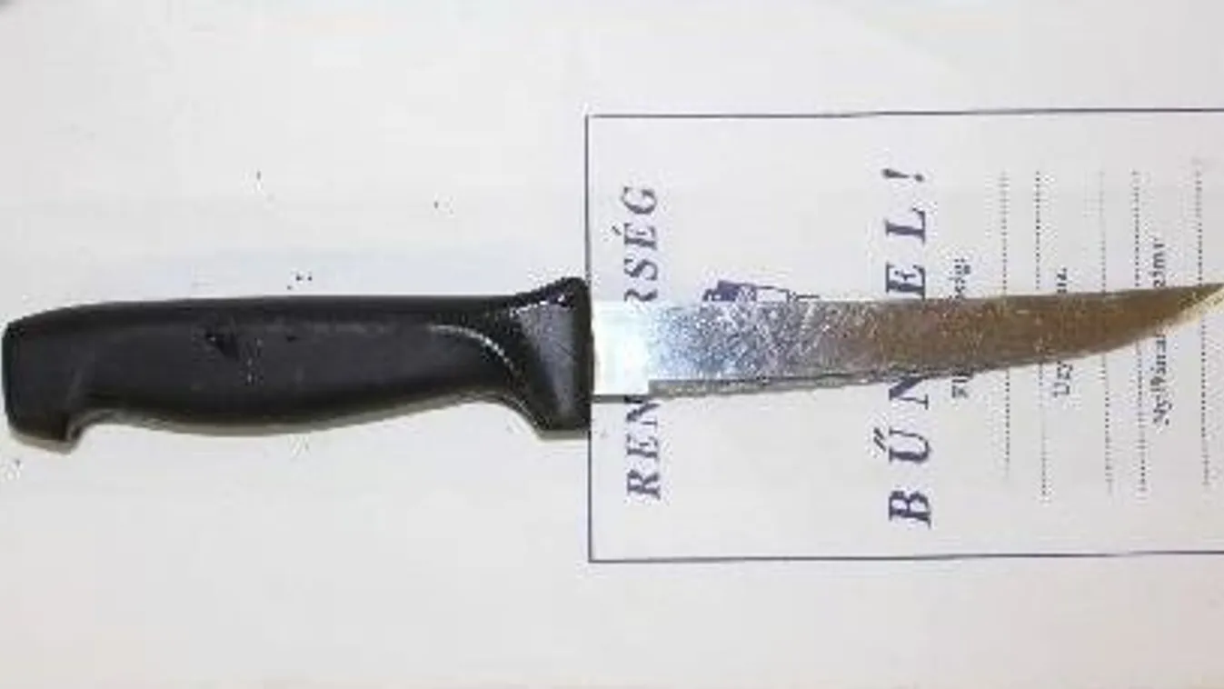 Megvan az ítélet a késsel rendőrre támadó férfi ügyében