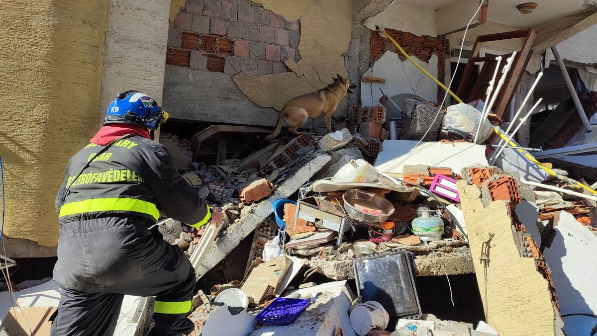 Gogó hős keresőkutya törökországi földrengés