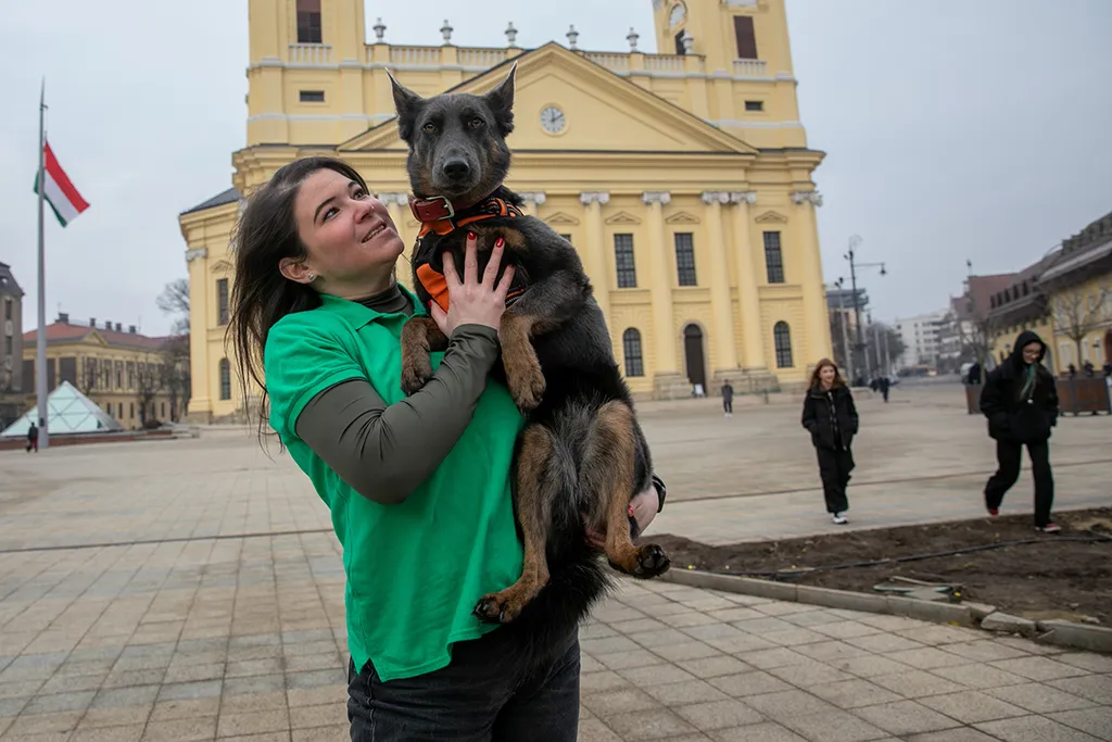 Kovács Ilka, Níla, kutya, mentő kutya, mentőkutya, törökország, földrengés