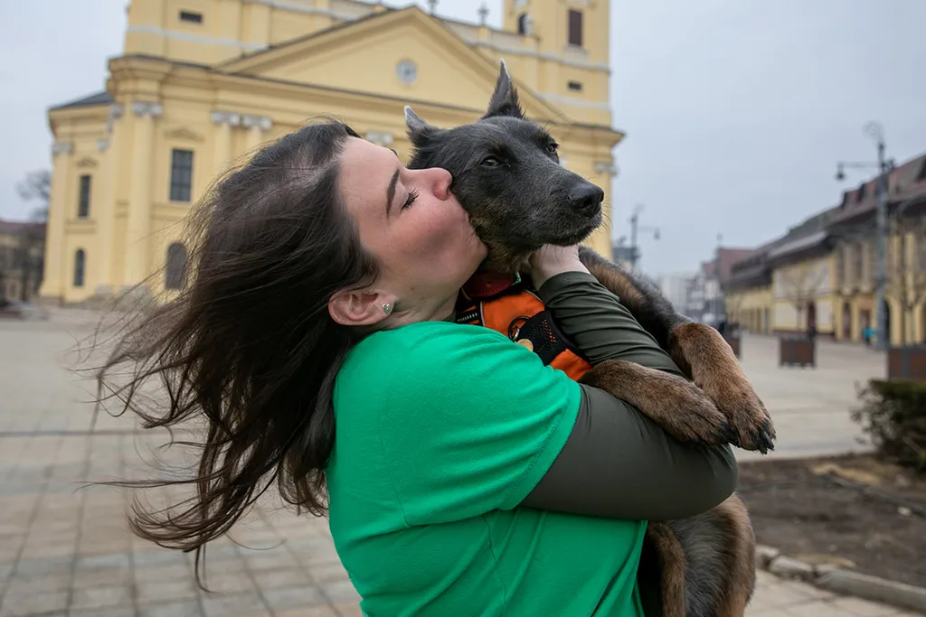 Kovács Ilka, Níla, kutya, mentő kutya, mentőkutya, törökország, földrengés