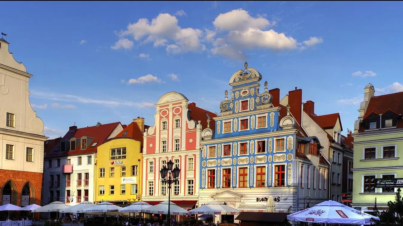 Egy kövér macska lett a legjobban értékelt turistalátványosság egy lengyel városban