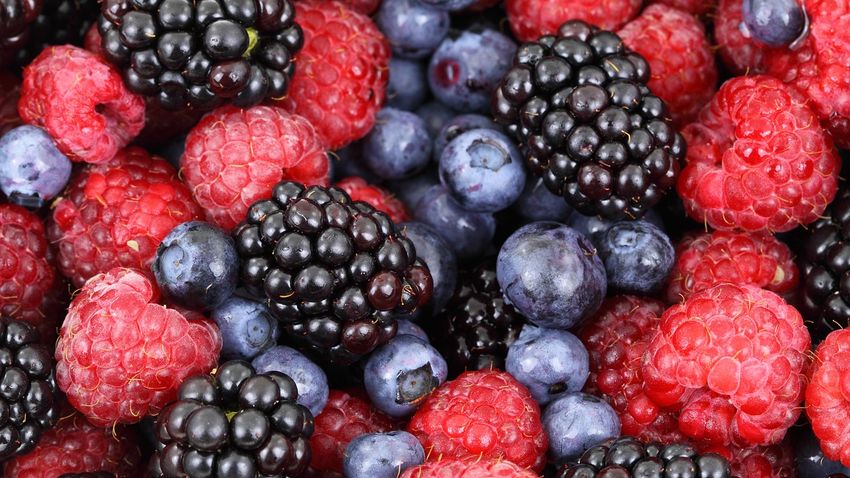 Dietista lo inventó: esta fruta detiene la pérdida de peso