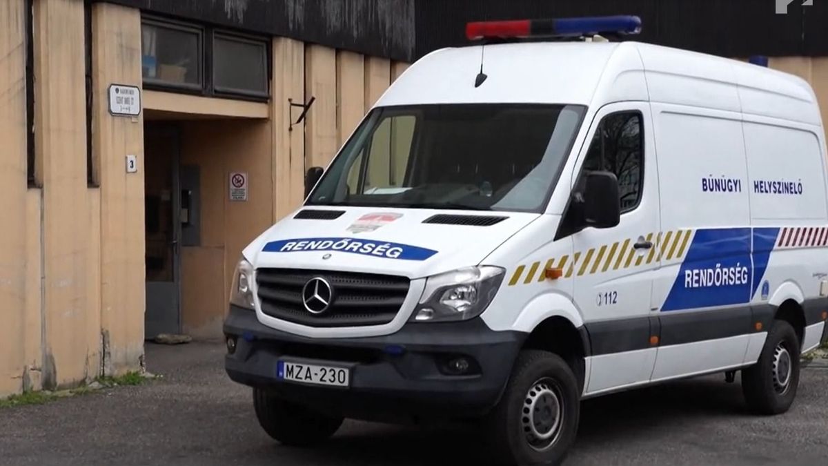 Két kisgyermek maradt félárván a Győrben kizuhant nő után
