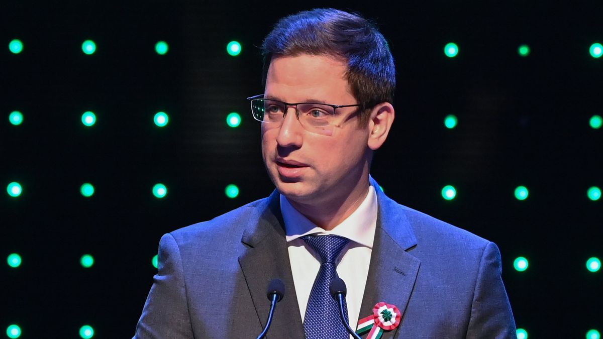 Gulyás Gergely: Magyarország függetlensége és szabadsága a legfontosabb nemzeti minimum