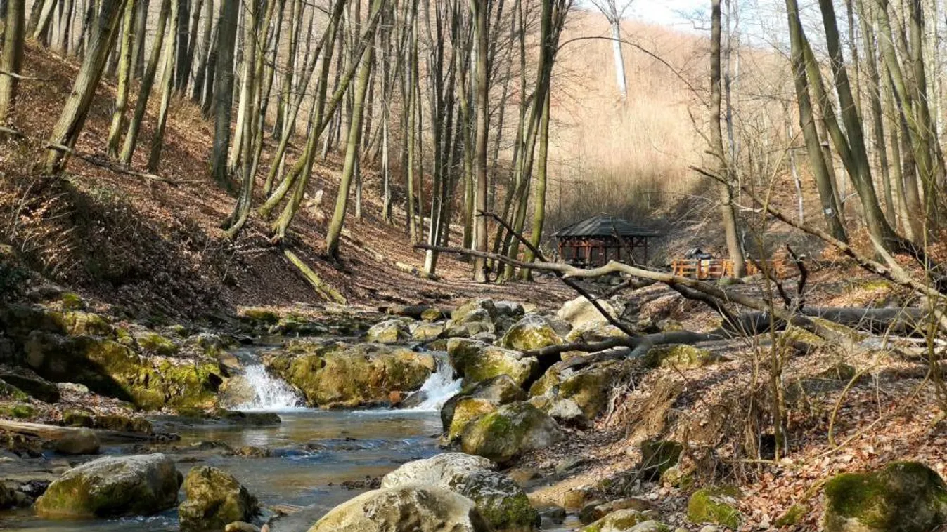 Rally bajnokság lesz a hétvégén, több népszerű túraútvonalat is lezárnak