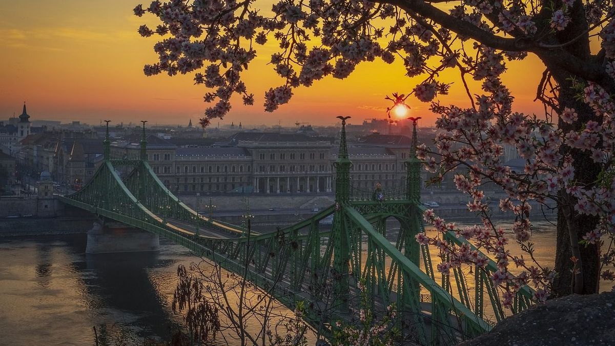 Budapest, tavasz, virág, időjárás,