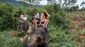 Ez történik egy elefánttal, miközben a turisták a hátukon ülve kirándulgatnak