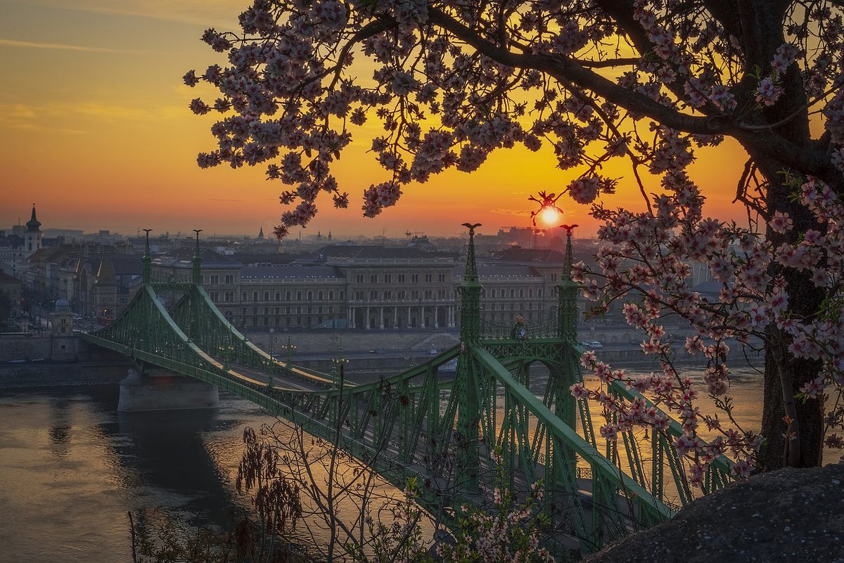 Budapest, tavasz, virág, időjárás,