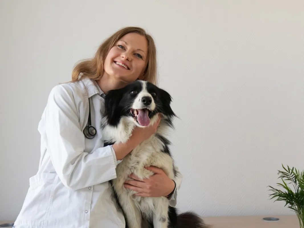 TikTok, állatorvos, szitter, állatszitter, Dr. Piller Pálma, PetWiseCare, 