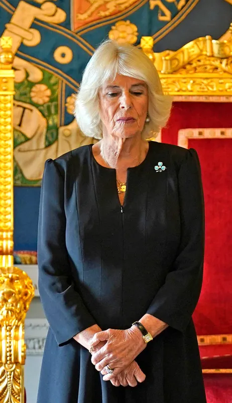 III. Károly király, Kamilla királyné, AFP