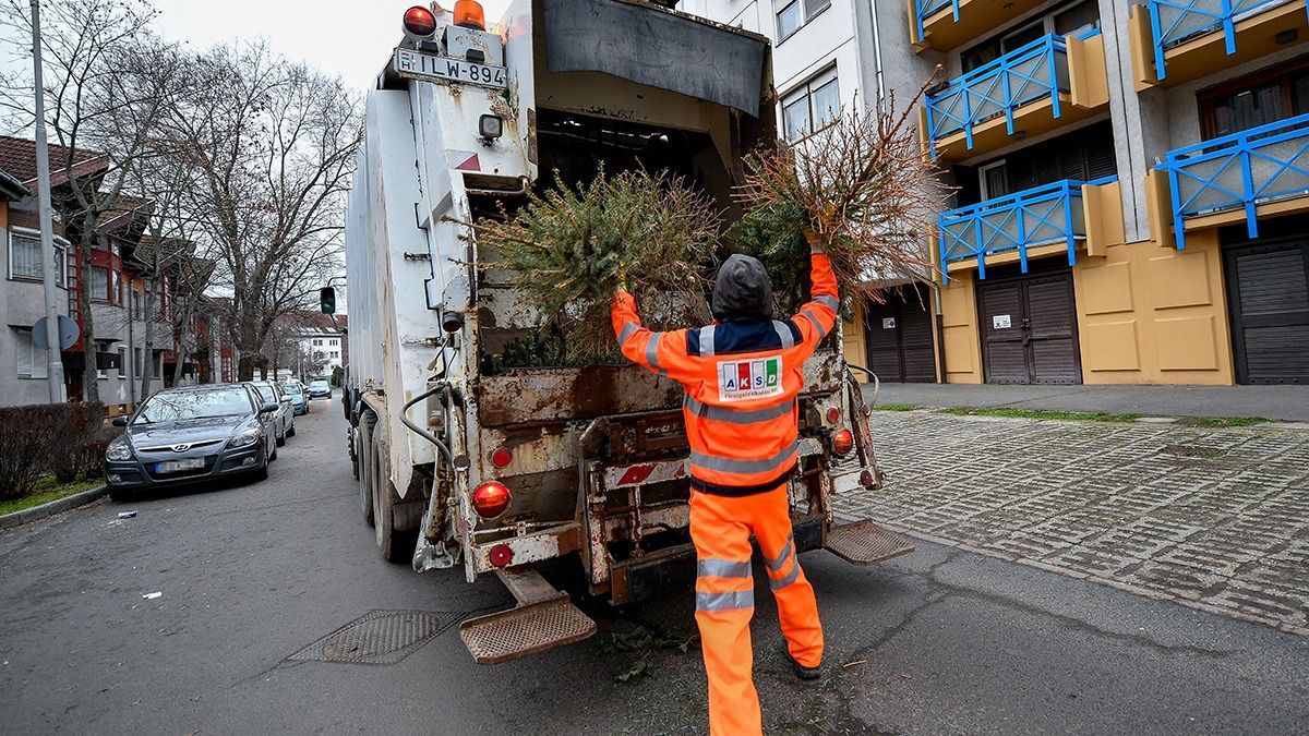 Brutálisan megverte, majd halálra akarta gázolni a kukást a mándoki férfi: sokkoló videó