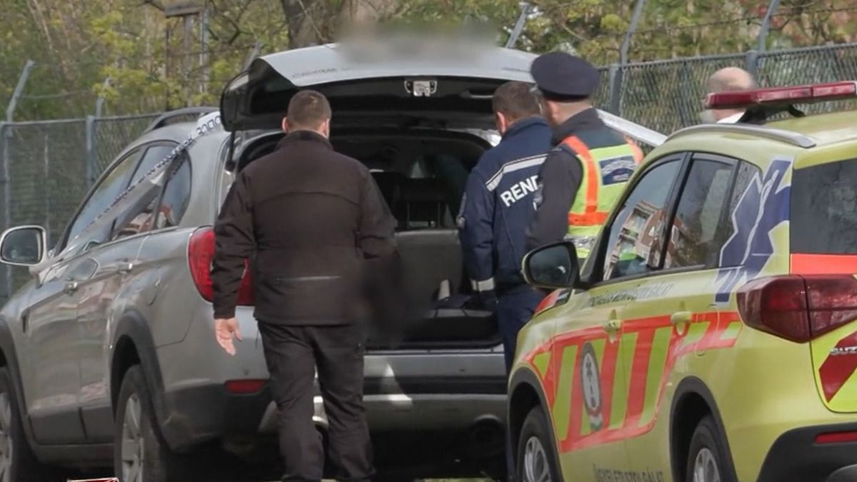 Megdöbbentő részletek a csomagtartóban talált Sanyika haláláról: ezt tette nevelőanyja