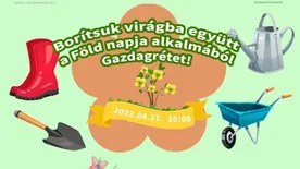 Virágosztással, edukációval és hulladékgyűjtési akcióval hívják fel a figyelmet a Föld napjára