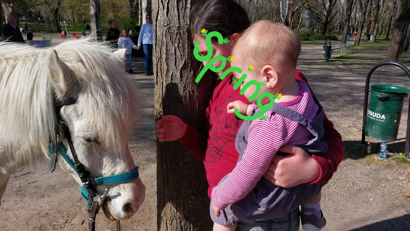 Nyúlszem, csúszdacsacsi, saját élő csillámpónival