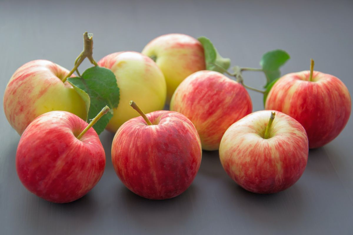 alma, gyümölcs, Pexels illusztráció
