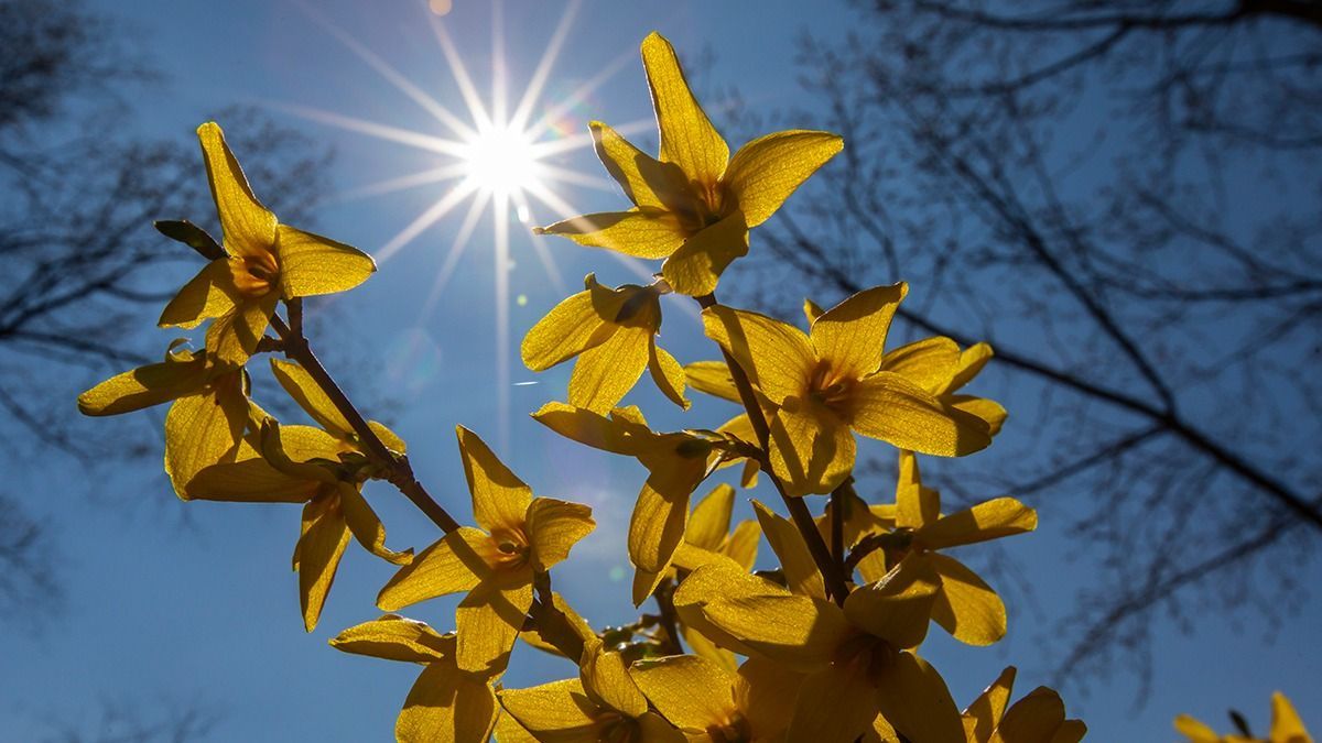 Fullasztó pára és csapadék: különös időjárás köszönt ma ránk