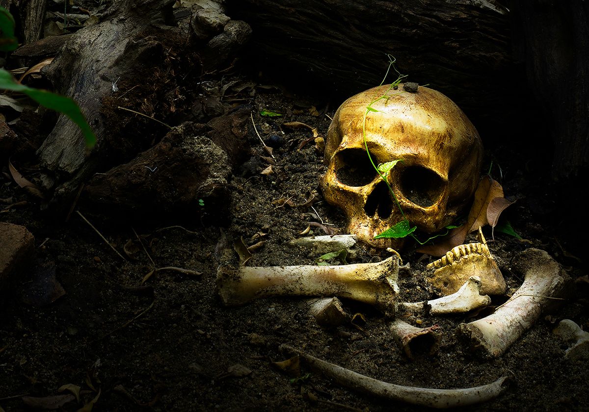 Skull,And,Bones,Buried,In,The,Pit,With,Old,Timbers,concept