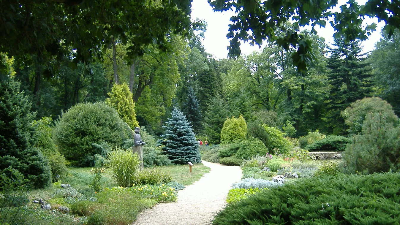 Arborétum a város közepén, római utakkal