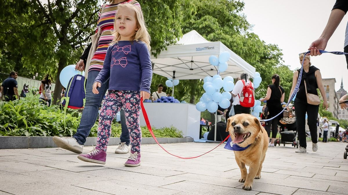 VII. Belvárosi Kutyafesztivál: a legnagyobb ingyenes kutyás rendezvény