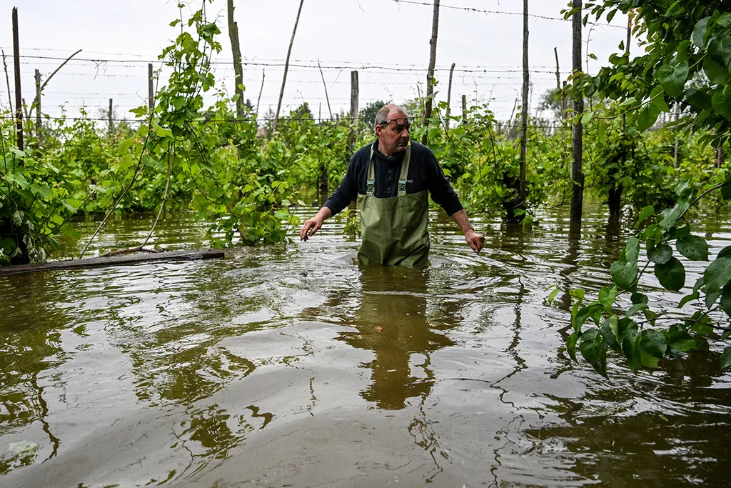 A fruit farmer assesses damages to his flooded property on May 20, 2023 in the village of Ghibullo, near Ravenna, after floodwaters hit the Emilia-Romagna region. The toll from floods that have devastated Italy's Emilia Romagna region rose to 14 on May 19, amid calls for the government to revive an abandoned project to mitigate the impact of natural disasters. (Photo by Andreas SOLARO / AFP)