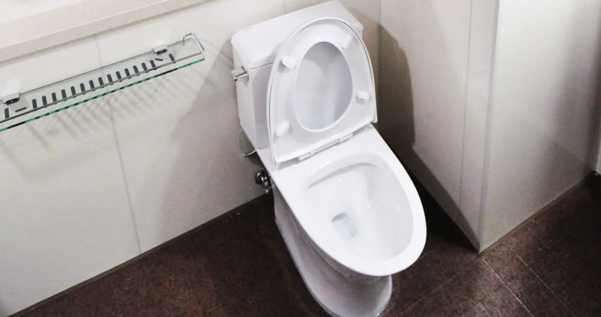 vécé, WC, mosdó, Pexels illusztráció