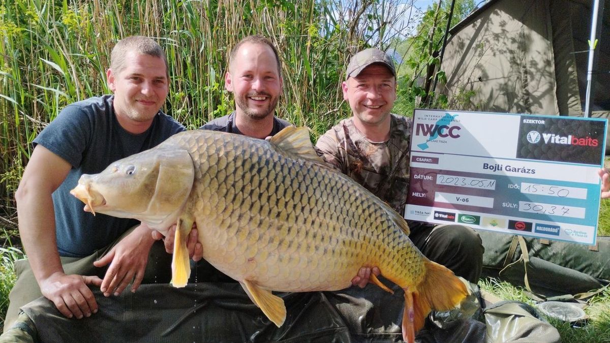 30 kilós Tisza-tavi rekordponty: Akkorát ordítottunk, hogy beleremegett a Tisza-tó