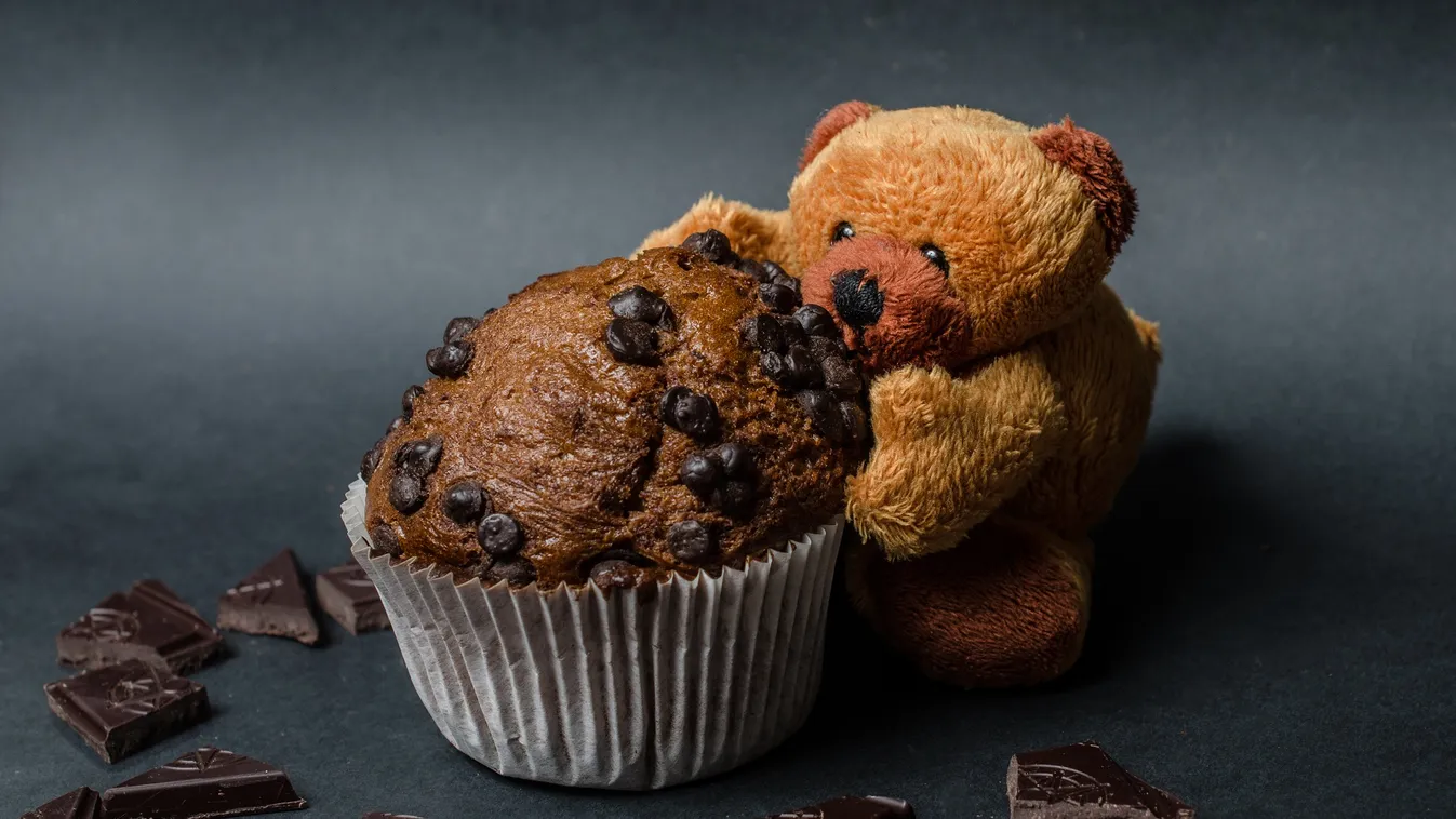 Muffinokra támadt a medve egy amerikai pékségben