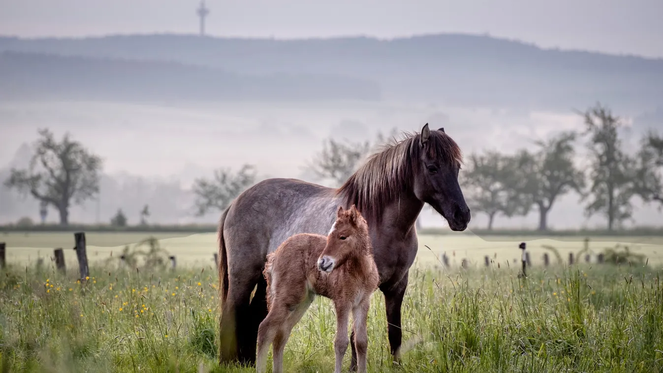 A nap legjobb fotói - május 15.