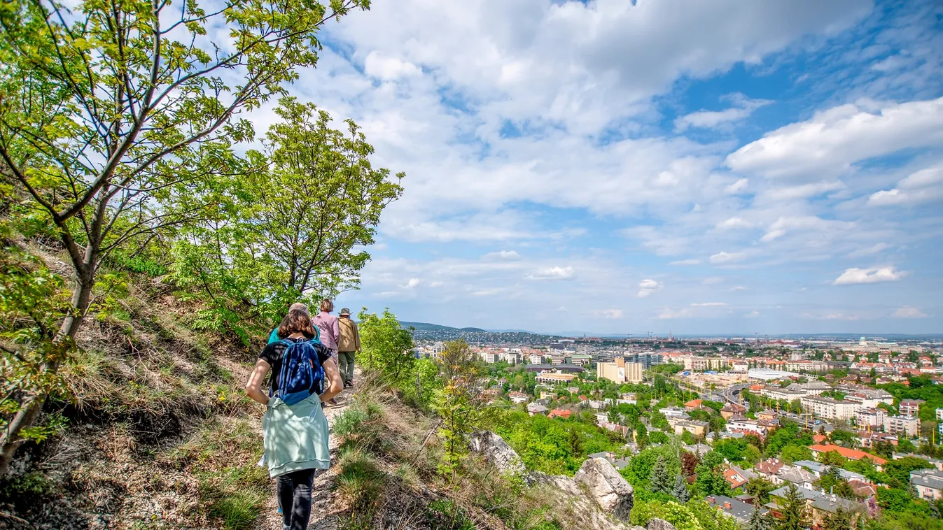 Könnyű, változatos tanösvény-túrák Budapest közelében