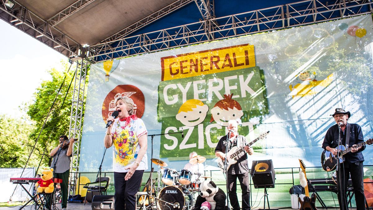 Fészküket kereső tyúkok a Generali Gyerek Szigeten