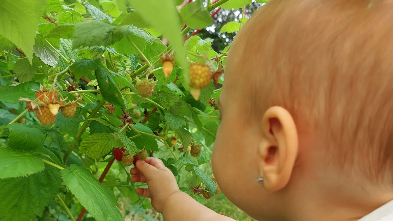 Hippiként futunk felfelé a csúszdán