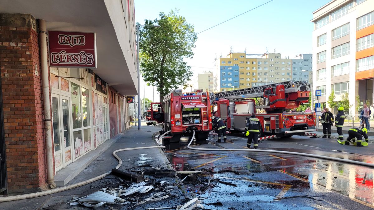 Macska miatt égett porrá a lakás, ahol a hős rendőrt leszúrták