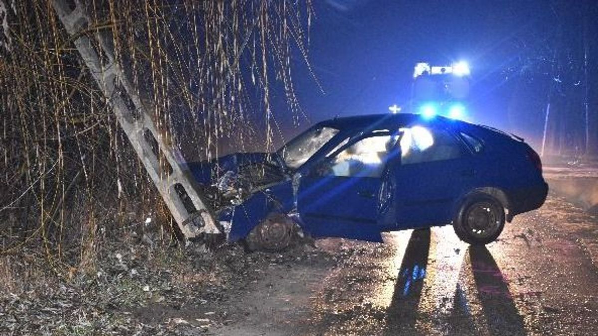 Több mint 2000 lakásban ment el az áram a részeg sofőr miatt