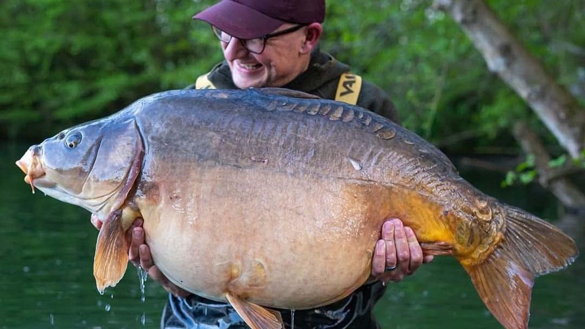 Balatonból vinne pontyot a brit horgászlegenda