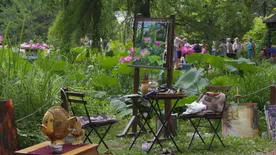 A hétvégén keleti hangulattal vár a Lótusz Napok Szegeden