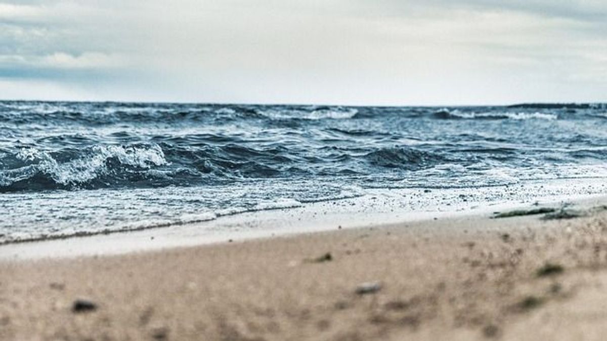 Szörnyű dologra bukkantak a strandolók: négy méteres volt és mozgott