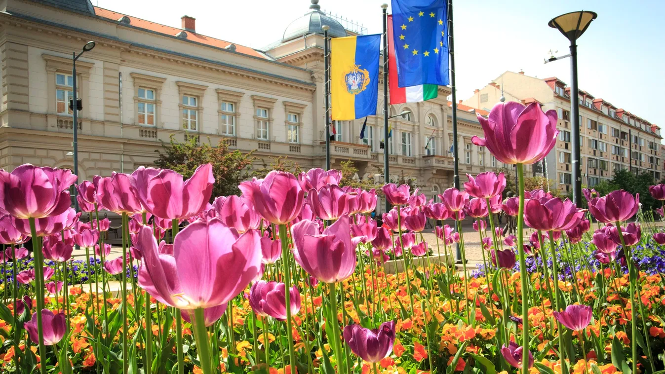 Soha ennyien nem pályáztak a Virágos Magyarország címre
