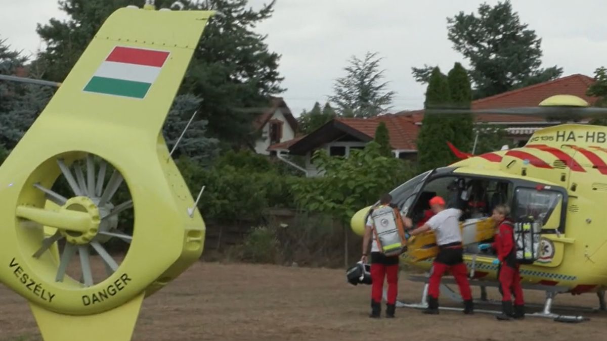 Pusztító tűz: a lángoló házba rohant be ikertestvéréért Erzsébet - videó